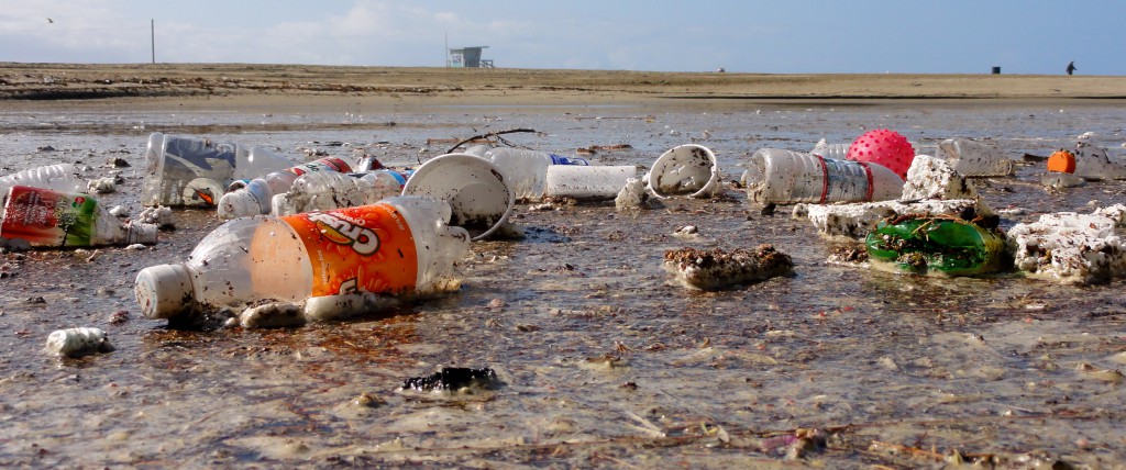 Marine debris impacts