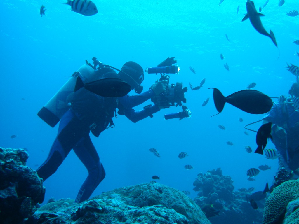 Filming for Sea Pulse